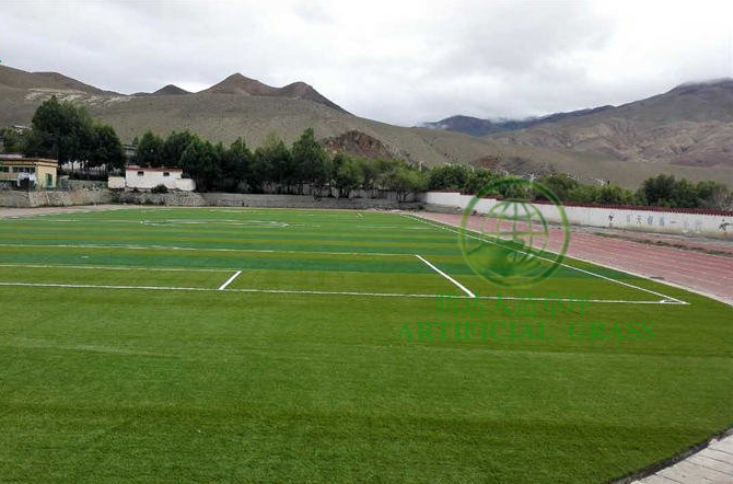 西藏中学学校足球场人造草坪安装案例图